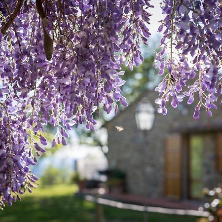 Le Cetinelle Guest House Greve in Chianti Exterior foto