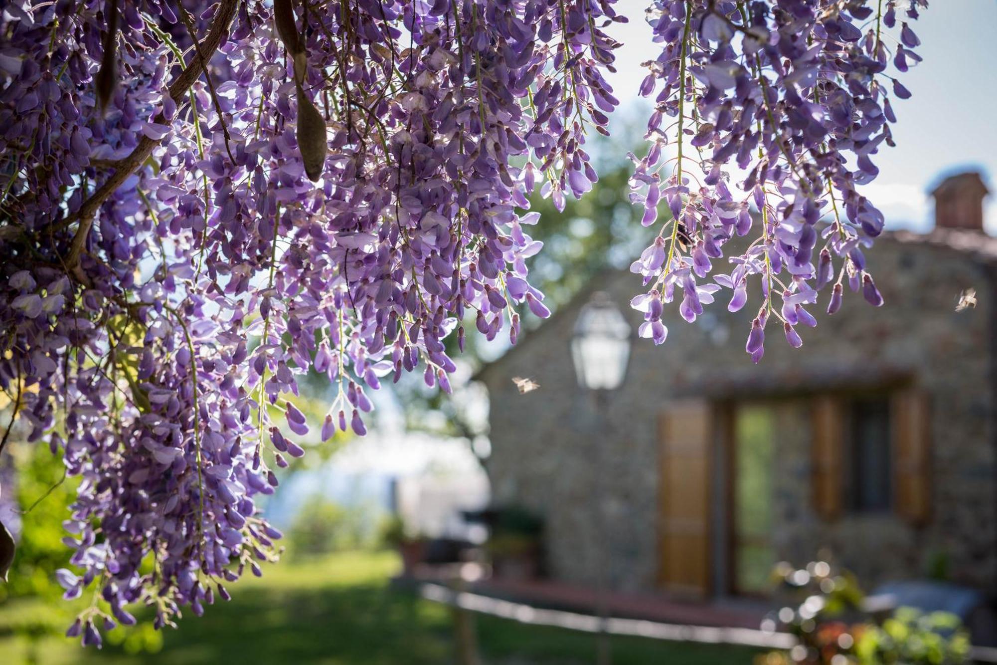 Le Cetinelle Guest House Greve in Chianti Exterior foto