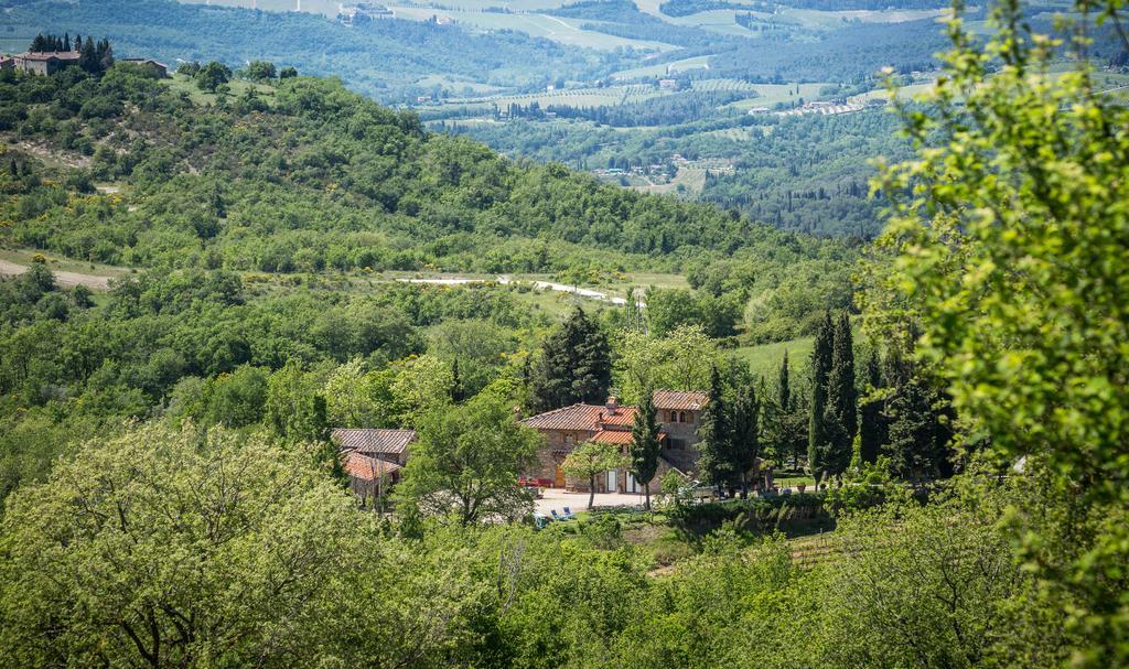 Le Cetinelle Guest House Greve in Chianti Exterior foto